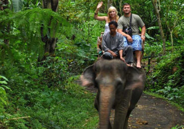 Bali-Elephant-Ride-Tour-1536x864