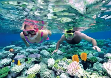 NUSA PENIDA - Snorkeling the Top 3 Spots with GoPro & Exclusive West Land Tour