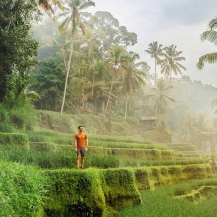 Ubud Full Day Tour