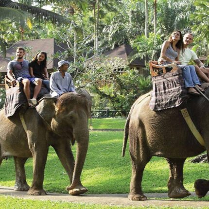 Bali Elephant Ride Tour