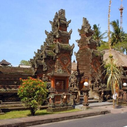 Ubud Half Day Tour