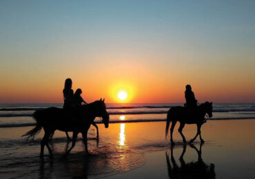 horse riding1