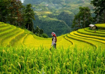 ubud-1